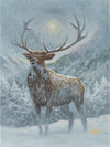 zac kinkade spirit of the north