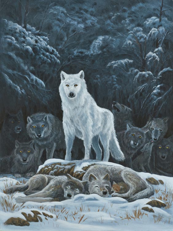 zac kinkade winter's guard